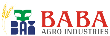 Baba Agro Industries - Manufacturer of Reversible MB Plough